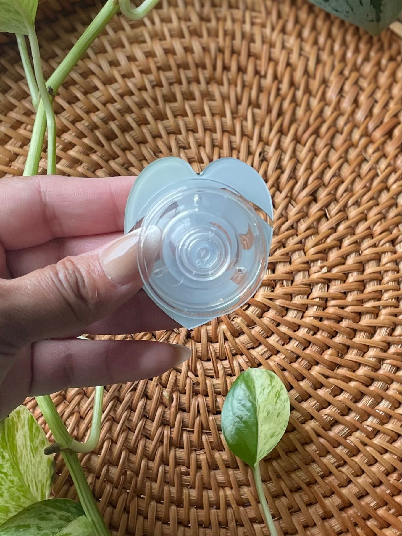 Monstera Leaf Phone & Kindle Grip