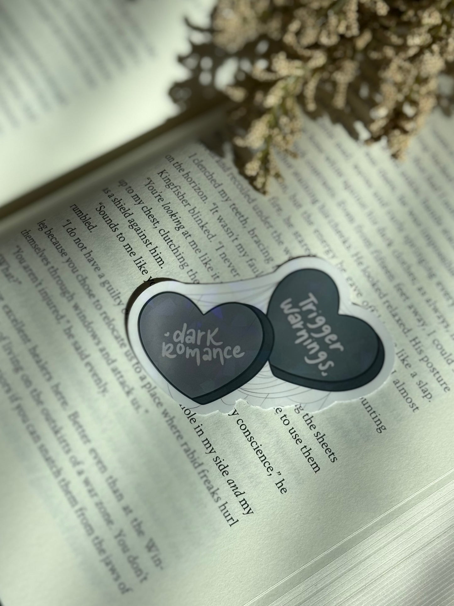 Dark Romance & Trigger Warnings Sticker
